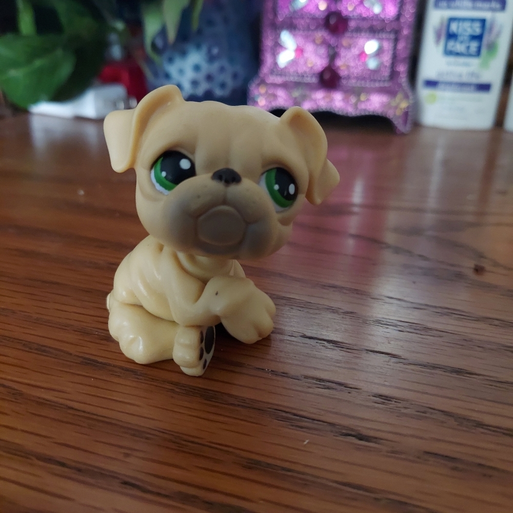 LPS bulldog
